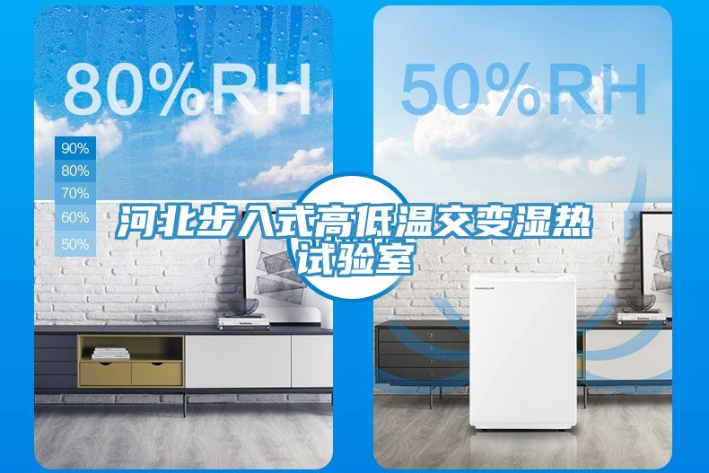 亚洲欧美一级特黄大片 河北步入式高低温交变湿热试验室