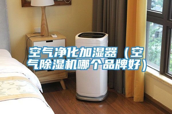 亚洲欧美一级特黄大片 空气净化加湿器（空气除湿机哪个品牌好）