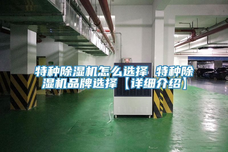 亚洲人成综合第一网站 特种除湿机怎么选择 特种除湿机品牌选择【详细介绍】