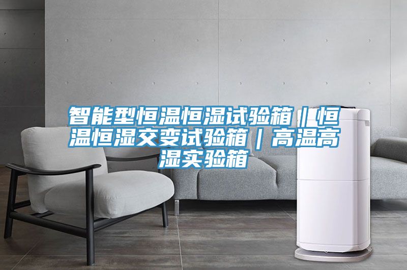 亚洲人成综合第一网站 智能型恒温恒湿试验箱｜恒温恒湿交变试验箱｜高温高湿实验箱