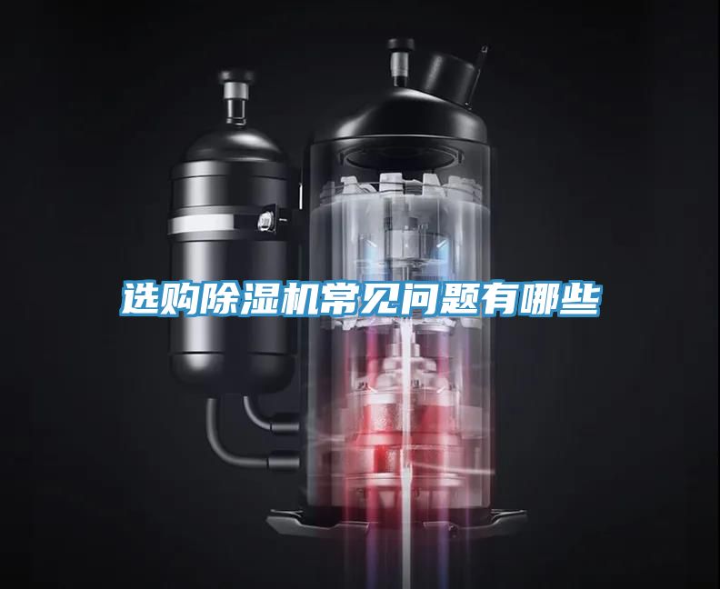 亚洲欧美一级特黄大片 选购除湿机常见问题有哪些