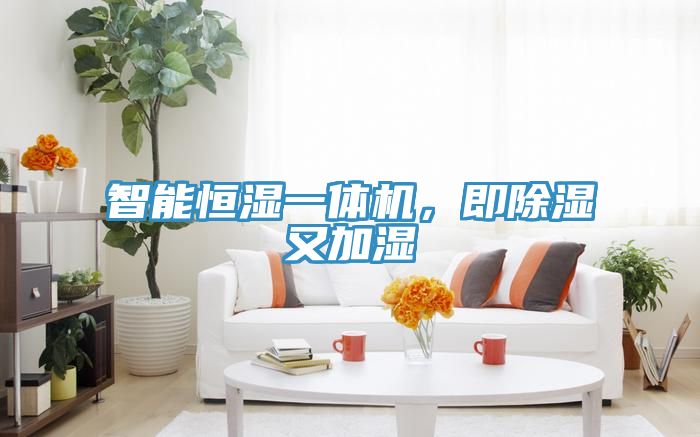 亚洲欧美一级特黄大片 智能恒湿一体机，即除湿又加湿