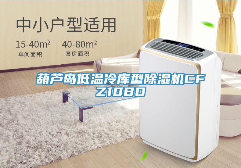 亚洲人成综合第一网站 葫芦岛低温冷库型除湿机CFZ10BD