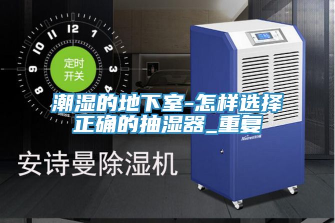 亚洲欧美一级特黄大片 潮湿的地下室-怎样选择正确的抽湿器_重复