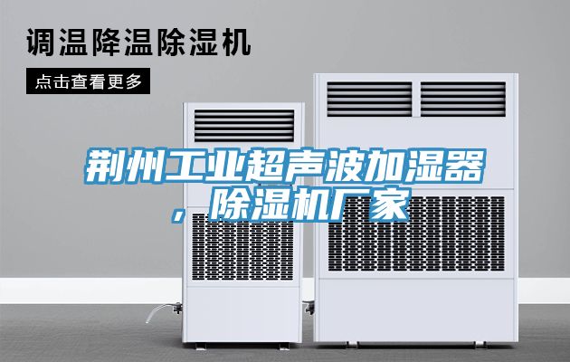亚洲欧美一级特黄大片 荆州工业超声波加湿器，除湿机厂家