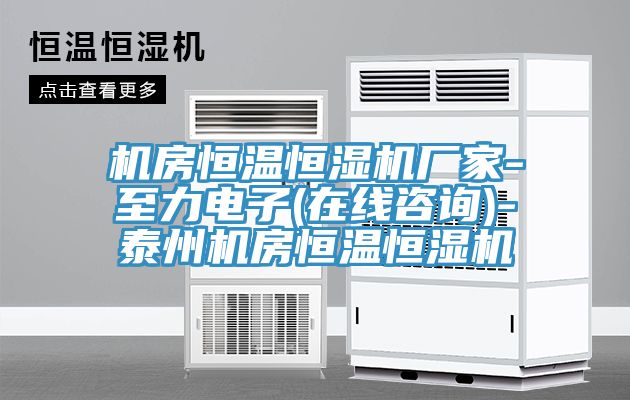 亚洲乱码一区二区三区 机房恒温恒湿机厂家-至力电子(在线咨询)-泰州机房恒温恒湿机