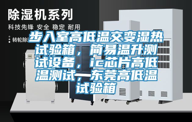 步入室高低温交变湿热试验箱，简易温升测试设备，ic芯片高低温测试，东莞高低温试验箱