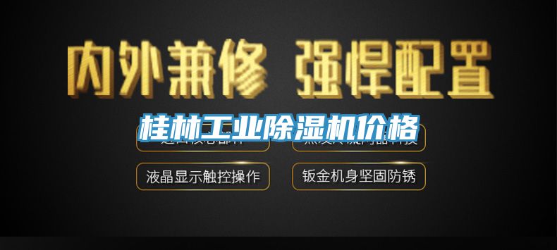亚洲人成综合第一网站 桂林工业除湿机价格