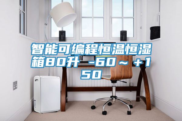 亚洲乱码一区二区三区 智能可编程恒温恒湿箱80升 -60～＋150℃