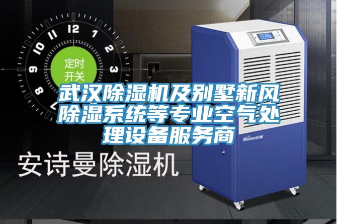 亚洲欧美一级特黄大片 武汉除湿机及别墅新风除湿系统等专业空气处理设备服务商