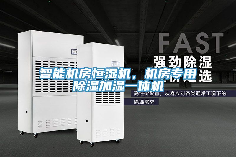 亚洲乱码一区二区三区 智能机房恒湿机，机房专用除湿加湿一体机