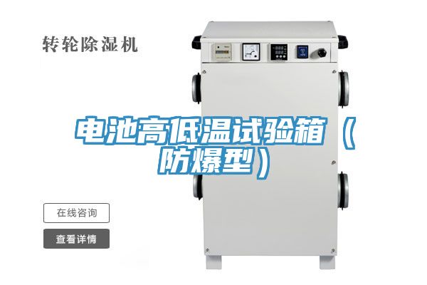 亚洲人成综合第一网站 电池高低温试验箱（防爆型）