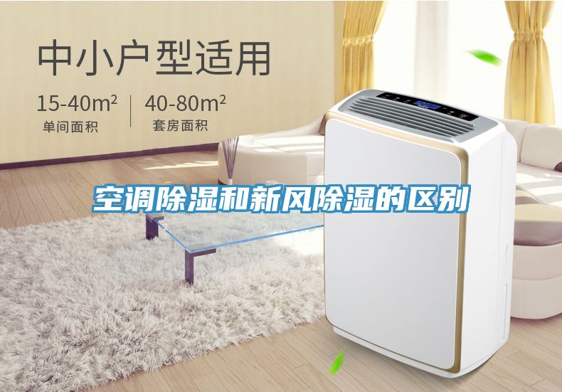 亚洲人成综合第一网站 空调除湿和新风除湿的区别