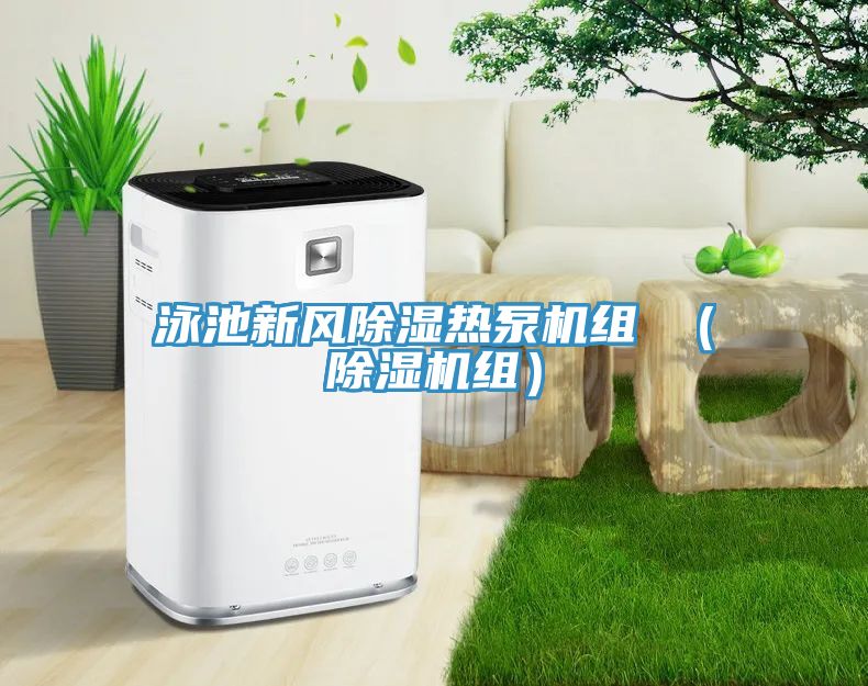 亚洲乱码一区二区三区 泳池新风除湿热泵机组 （除湿机组）
