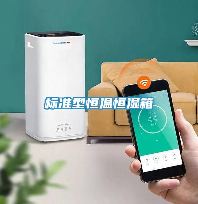 亚洲乱码一区二区三区 标准型恒温恒湿箱