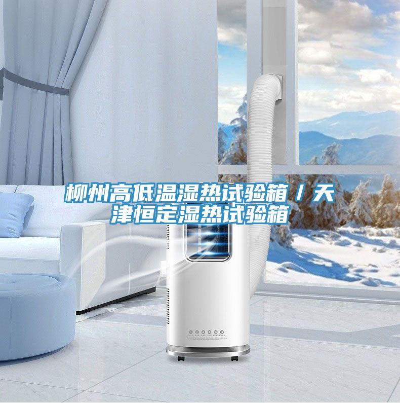 亚洲人成综合第一网站 柳州高低温湿热试验箱／天津恒定湿热试验箱