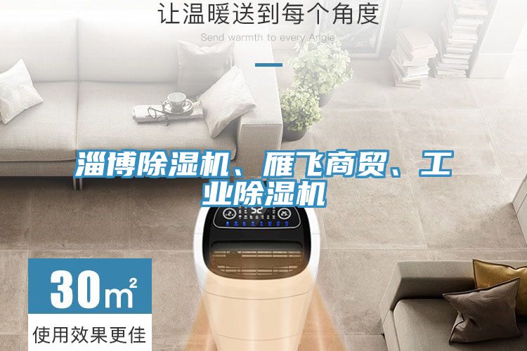 亚洲乱码一区二区三区 淄博除湿机、雁飞商贸、工业除湿机