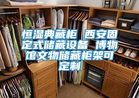亚洲人成综合第一网站 恒湿典藏柜 西安固定式储藏设备 博物馆文物储藏柜架可定制
