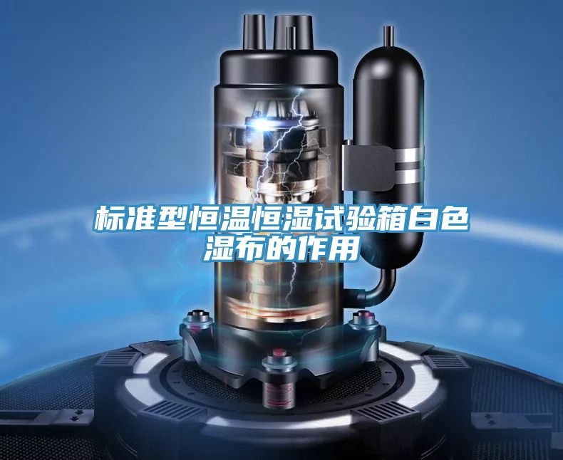 亚洲乱码一区二区三区 标准型恒温恒湿试验箱白色湿布的作用