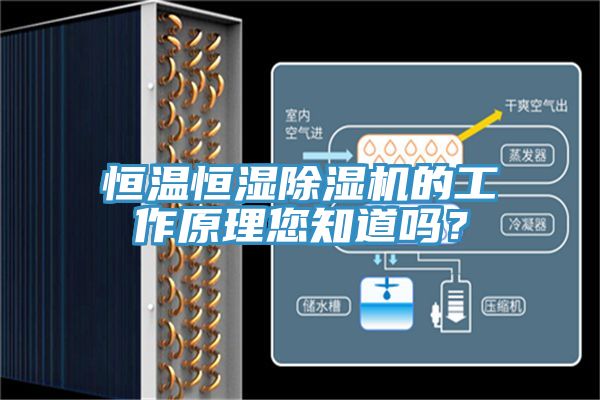 亚洲乱码一区二区三区 恒温恒湿除湿机的工作原理您知道吗？