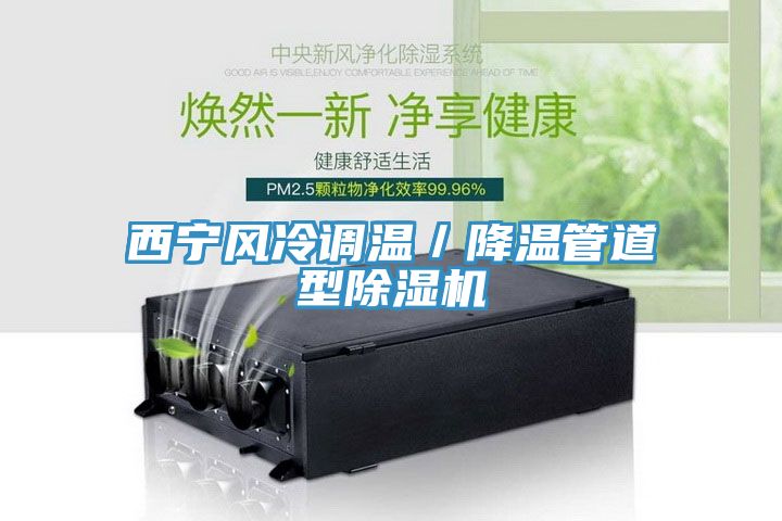 亚洲欧美一级特黄大片 西宁风冷调温／降温管道型除湿机