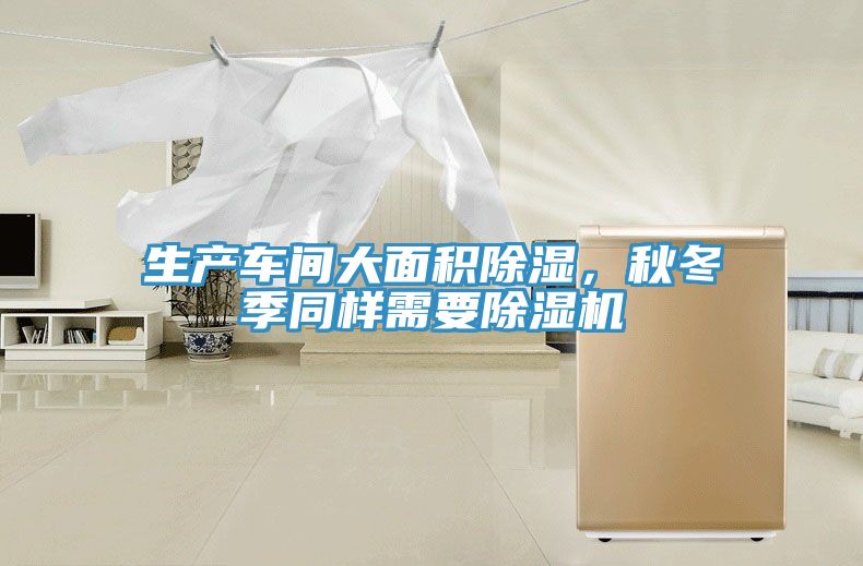 亚洲欧美一级特黄大片 生产车间大面积除湿，秋冬季同样需要除湿机