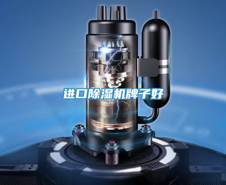 亚洲欧美一级特黄大片 进口除湿机牌子好