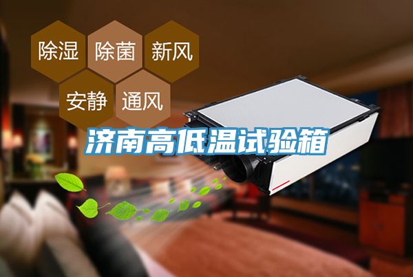 亚洲欧美一级特黄大片 济南高低温试验箱