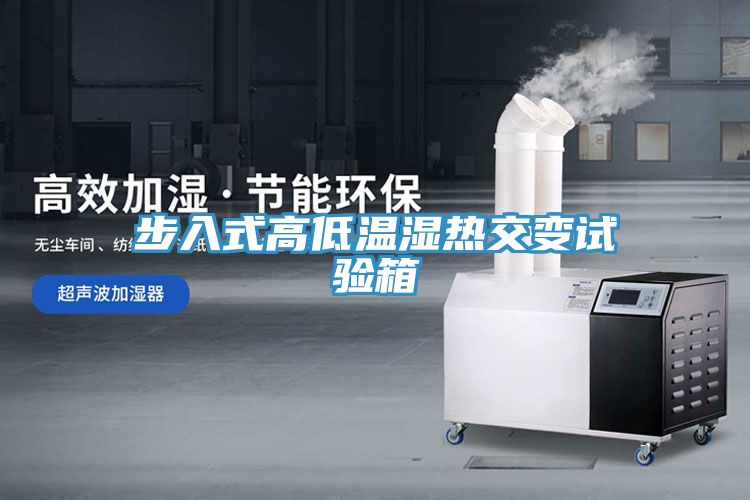 亚洲人成综合第一网站 步入式高低温湿热交变试验箱