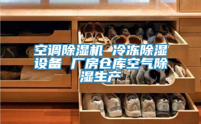 亚洲欧美一级特黄大片 空调除湿机 冷冻除湿设备 厂房仓库空气除湿生产