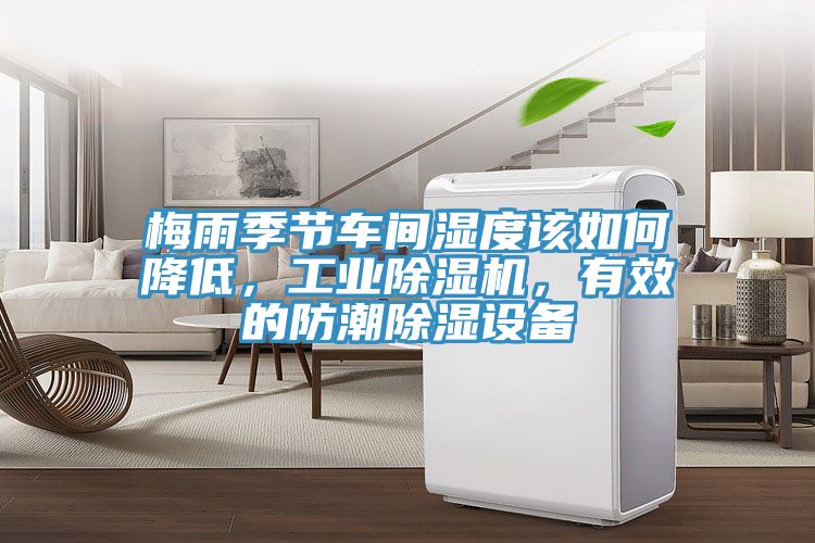 亚洲欧美一级特黄大片 梅雨季节车间湿度该如何降低，工业除湿机，有效的防潮除湿设备