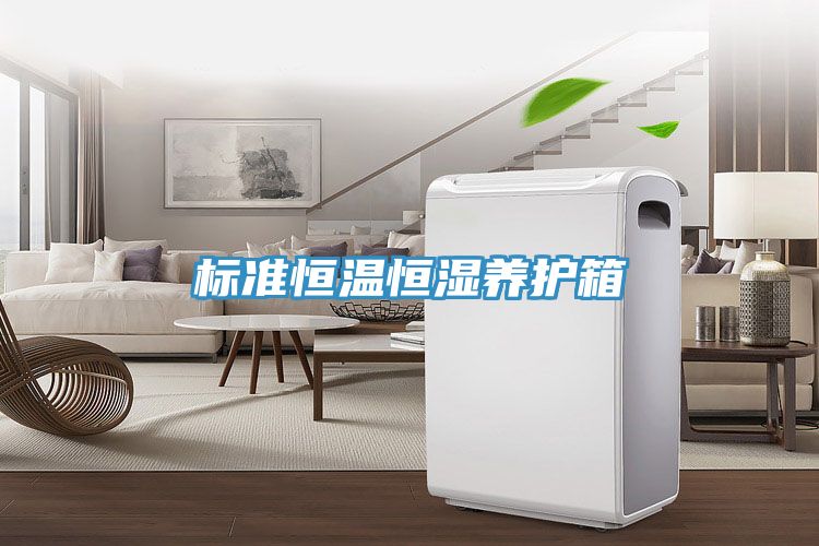 亚洲人成综合第一网站 标准恒温恒湿养护箱