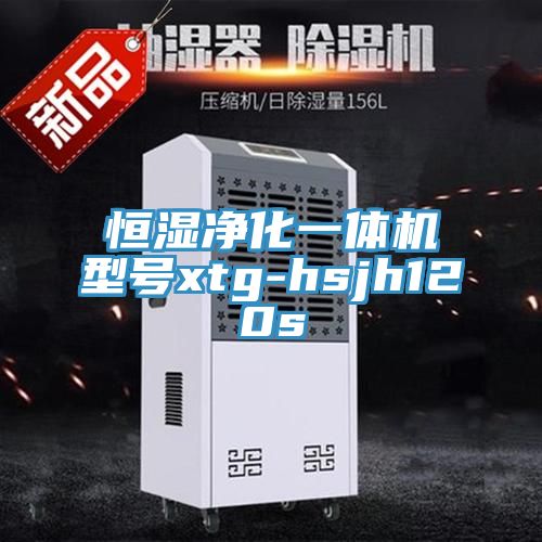 亚洲人成综合第一网站 恒湿净化一体机型号xtg-hsjh120s