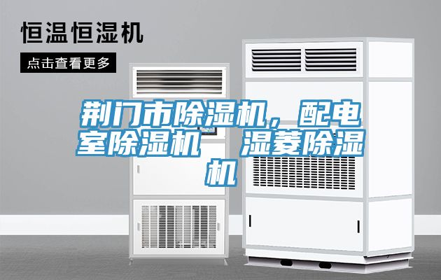 亚洲欧美一级特黄大片 荆门市除湿机，配电室除湿机  湿菱除湿机