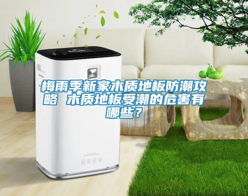 亚洲人成综合第一网站 梅雨季新家木质地板防潮攻略 木质地板受潮的危害有哪些？