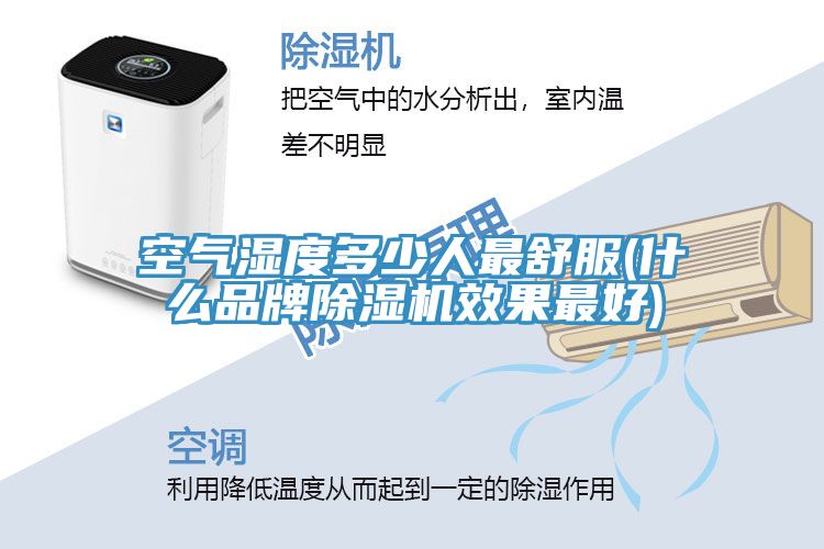 亚洲人成综合第一网站 空气湿度多少人最舒服(什么品牌除湿机效果最好)