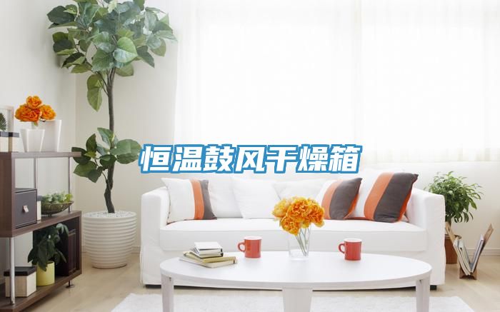 亚洲人成综合第一网站 恒温鼓风干燥箱