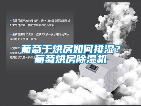 亚洲人成综合第一网站 葡萄干烘房如何排湿？葡萄烘房除湿机