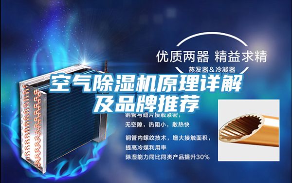 亚洲欧美一级特黄大片 空气除湿机原理详解及品牌推荐