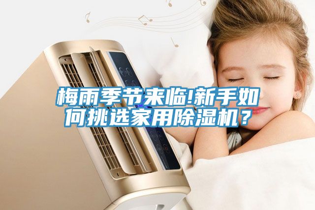 亚洲人成综合第一网站 梅雨季节来临!新手如何挑选家用除湿机？