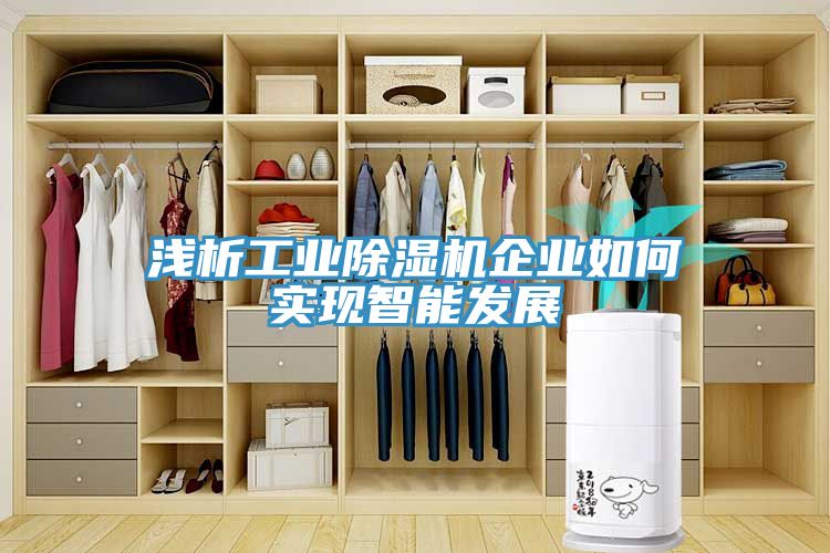亚洲欧美一级特黄大片 浅析工业除湿机企业如何实现智能发展