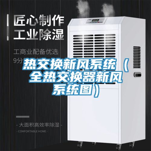 亚洲人成综合第一网站 热交换新风系统（全热交换器新风系统图）