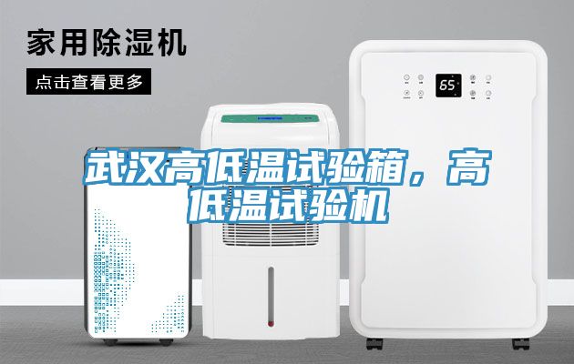 亚洲人成综合第一网站 武汉高低温试验箱，高低温试验机