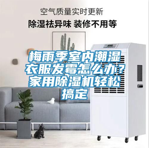 亚洲欧美一级特黄大片 梅雨季室内潮湿衣服发霉怎么办？家用除湿机轻松搞定