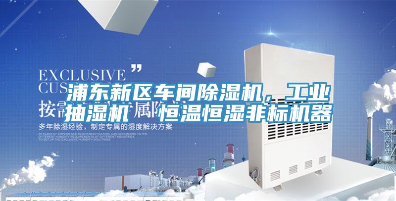 亚洲乱码一区二区三区 浦东新区车间除湿机，工业抽湿机  恒温恒湿非标机器
