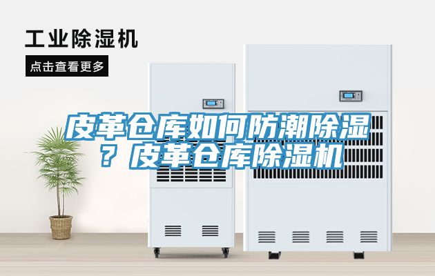 亚洲乱码一区二区三区 皮革仓库如何防潮除湿？皮革仓库除湿机