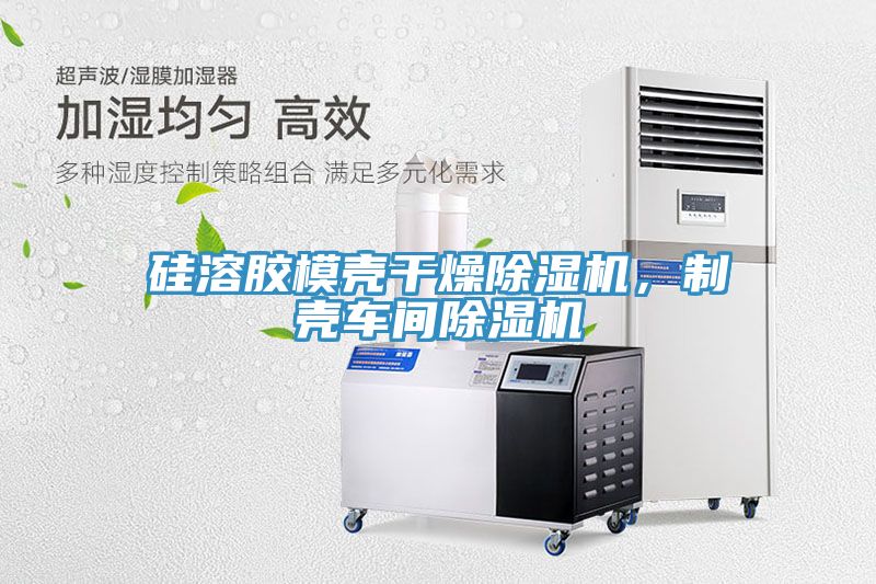 亚洲人成综合第一网站 硅溶胶模壳干燥除湿机，制壳车间除湿机