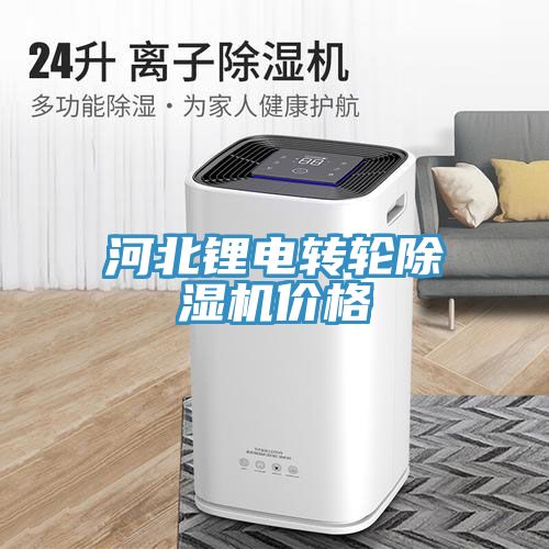 亚洲欧美一级特黄大片 河北锂电转轮除湿机价格