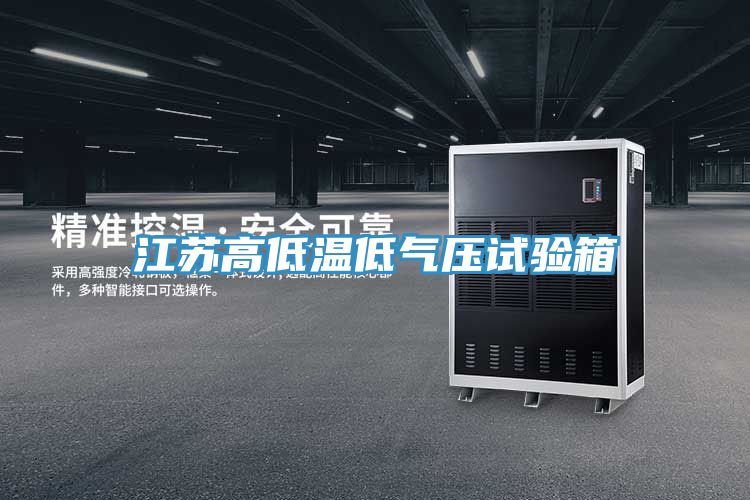 亚洲人成综合第一网站 江苏高低温低气压试验箱
