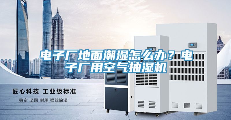 亚洲欧美一级特黄大片 电子厂地面潮湿怎么办？电子厂用空气抽湿机
